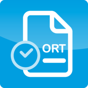 WIZZkit Rapport onregelmatigheidstoeslag